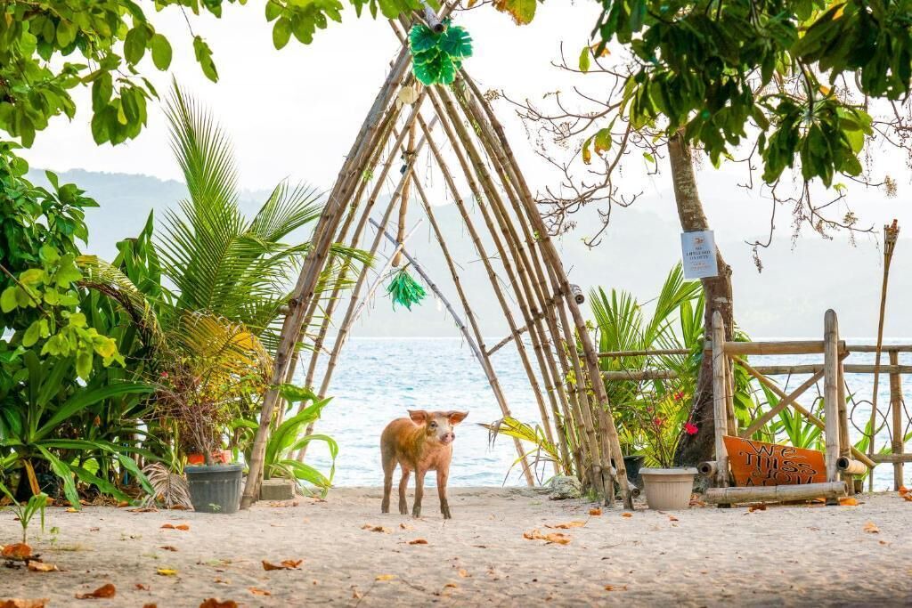 Photo of Others in El Nido