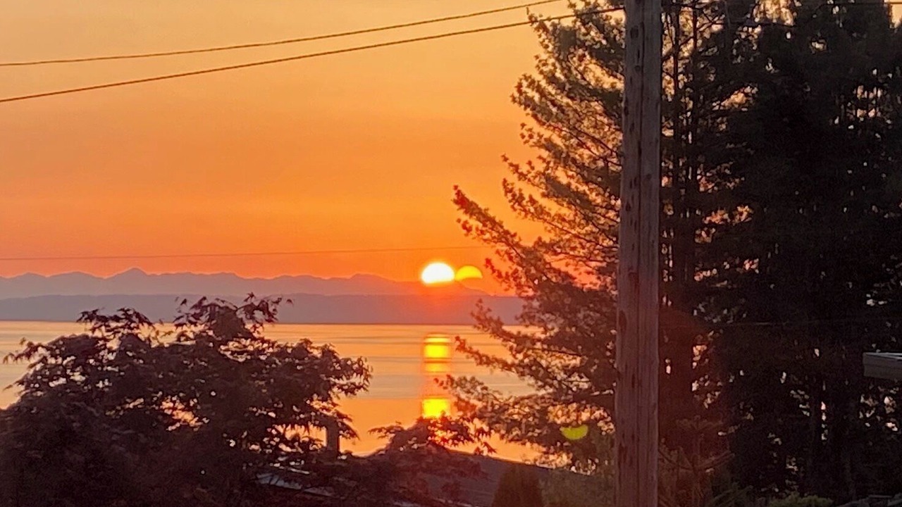 Photo of Others in Point Roberts