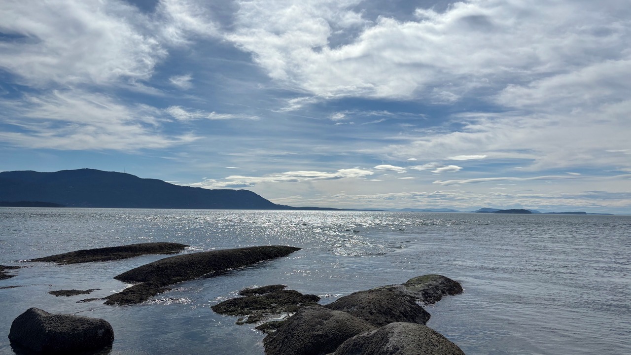 Photo of Others in Lummi Island