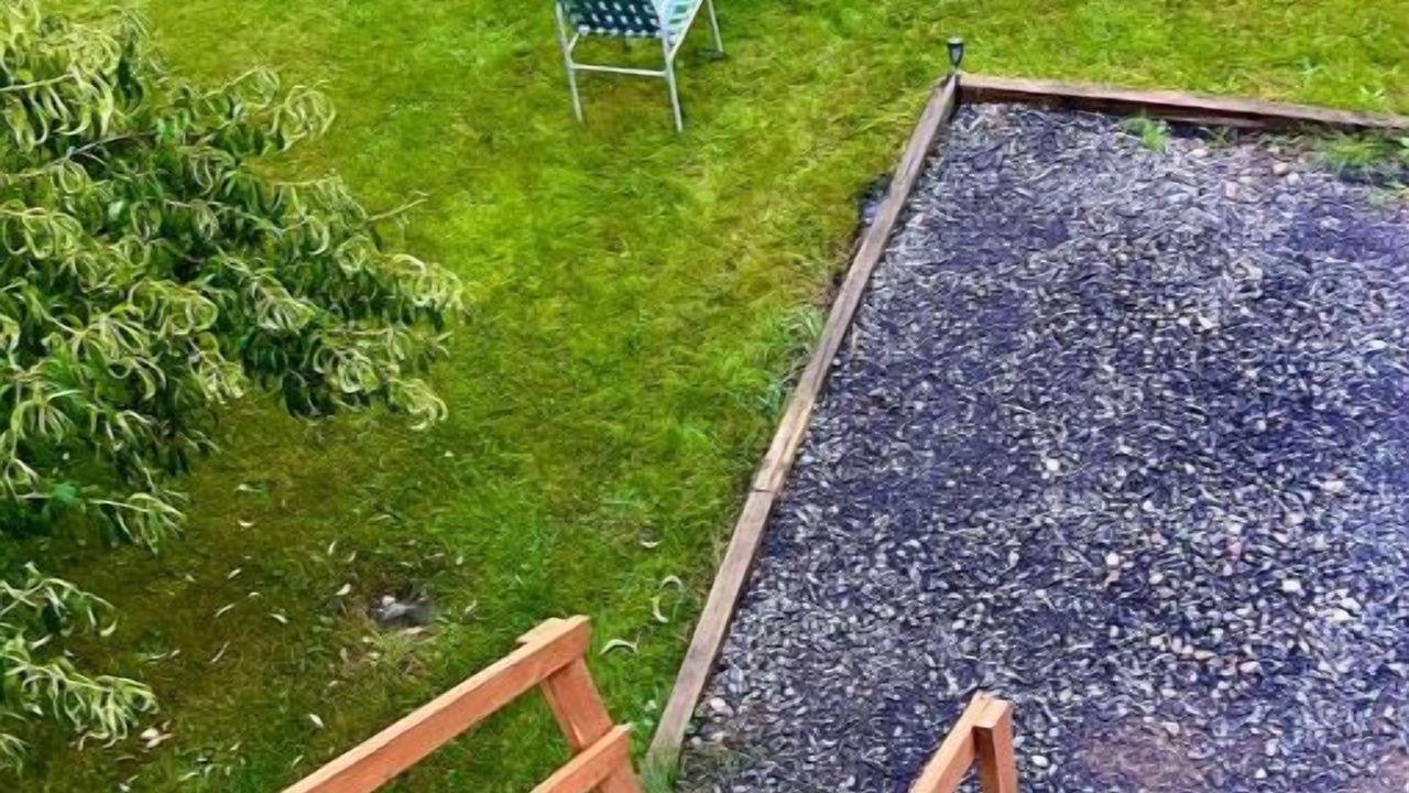 Photo of Outdoor in Blossvale