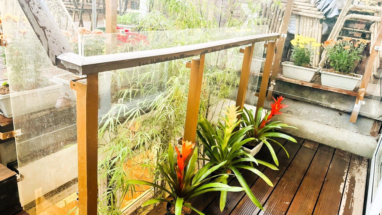 Photo of Outdoor in Baguio