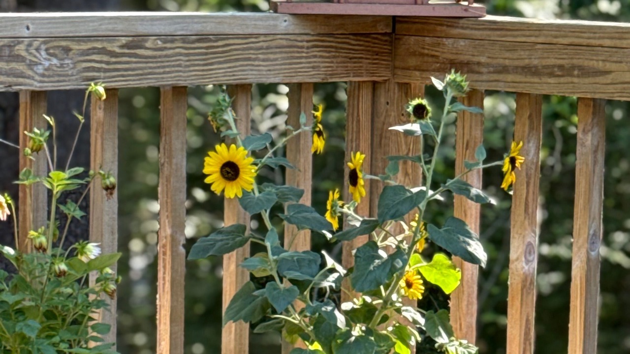 Photo of Outdoor in Otis