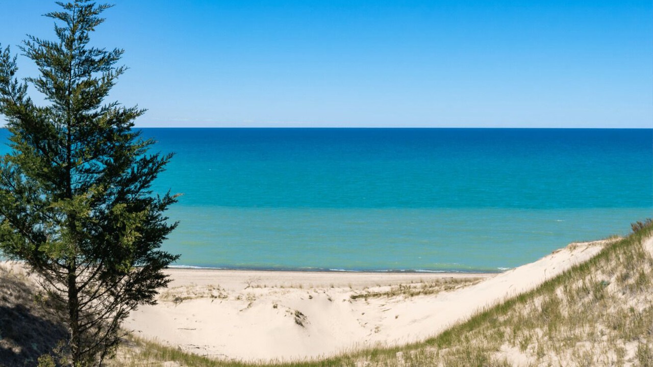 Photo of Others in Miller Beach