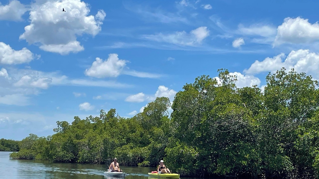 Photo of Others in Pine Island Center