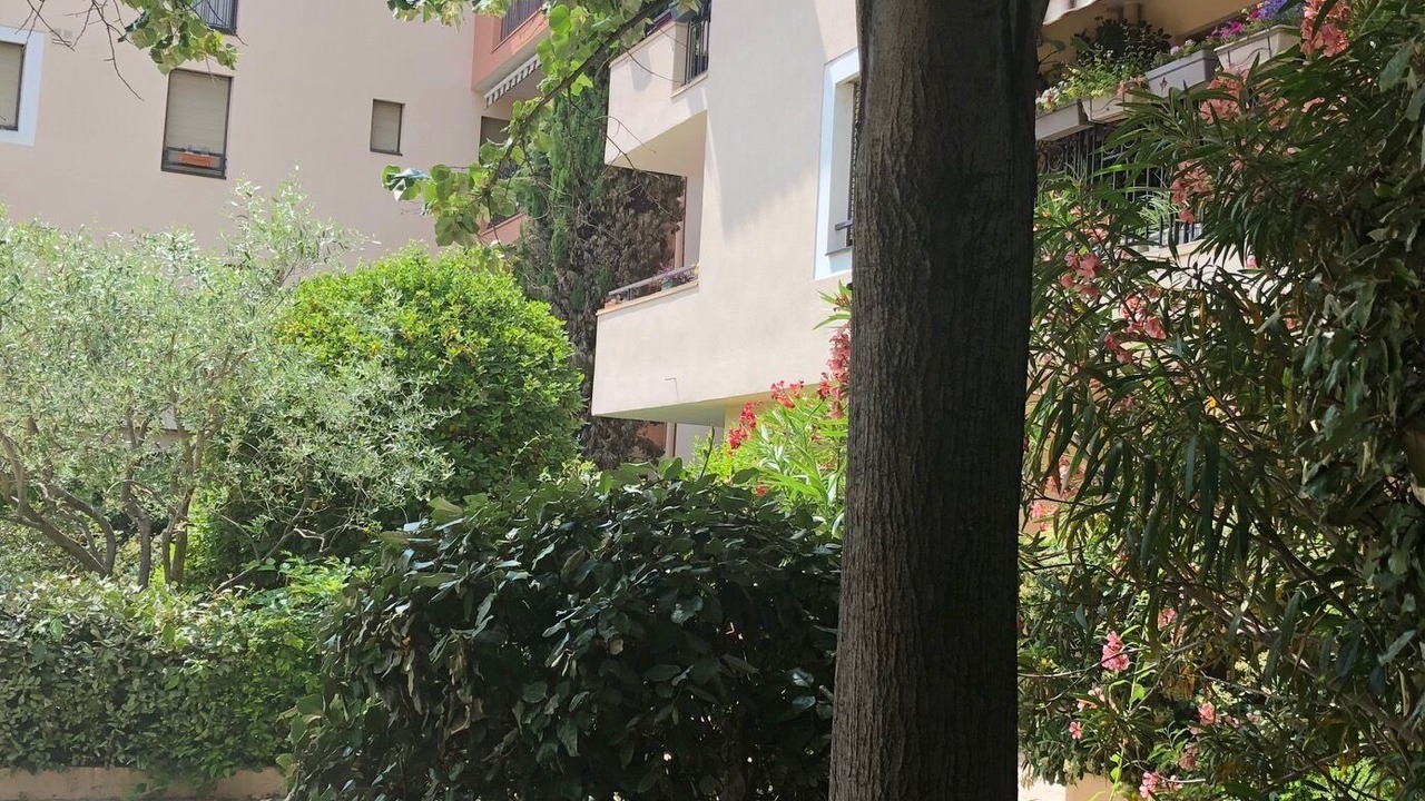 Photo of Outdoor in Avignon City Centre