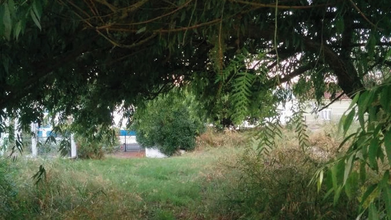 Photo of Others in Sao Vicente do Paul