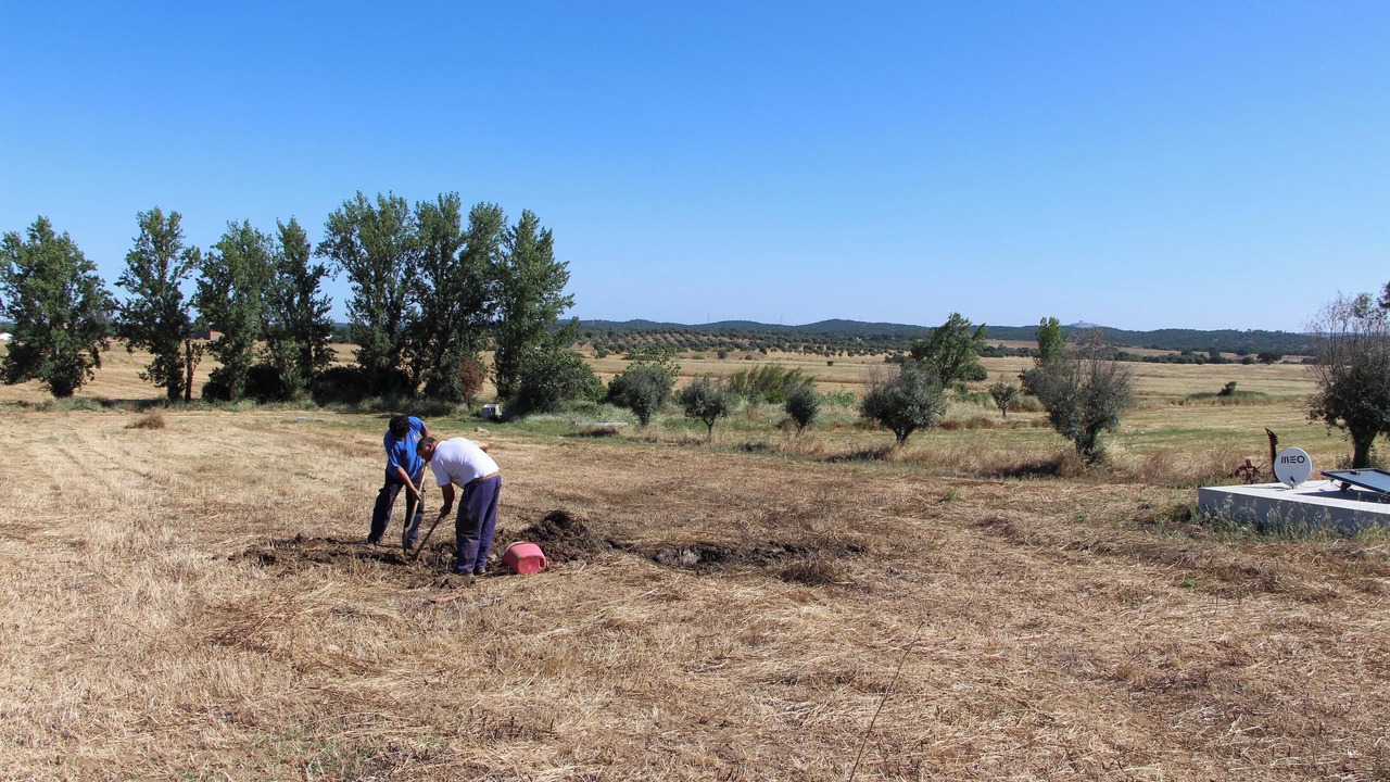 Photo of Others in Evora