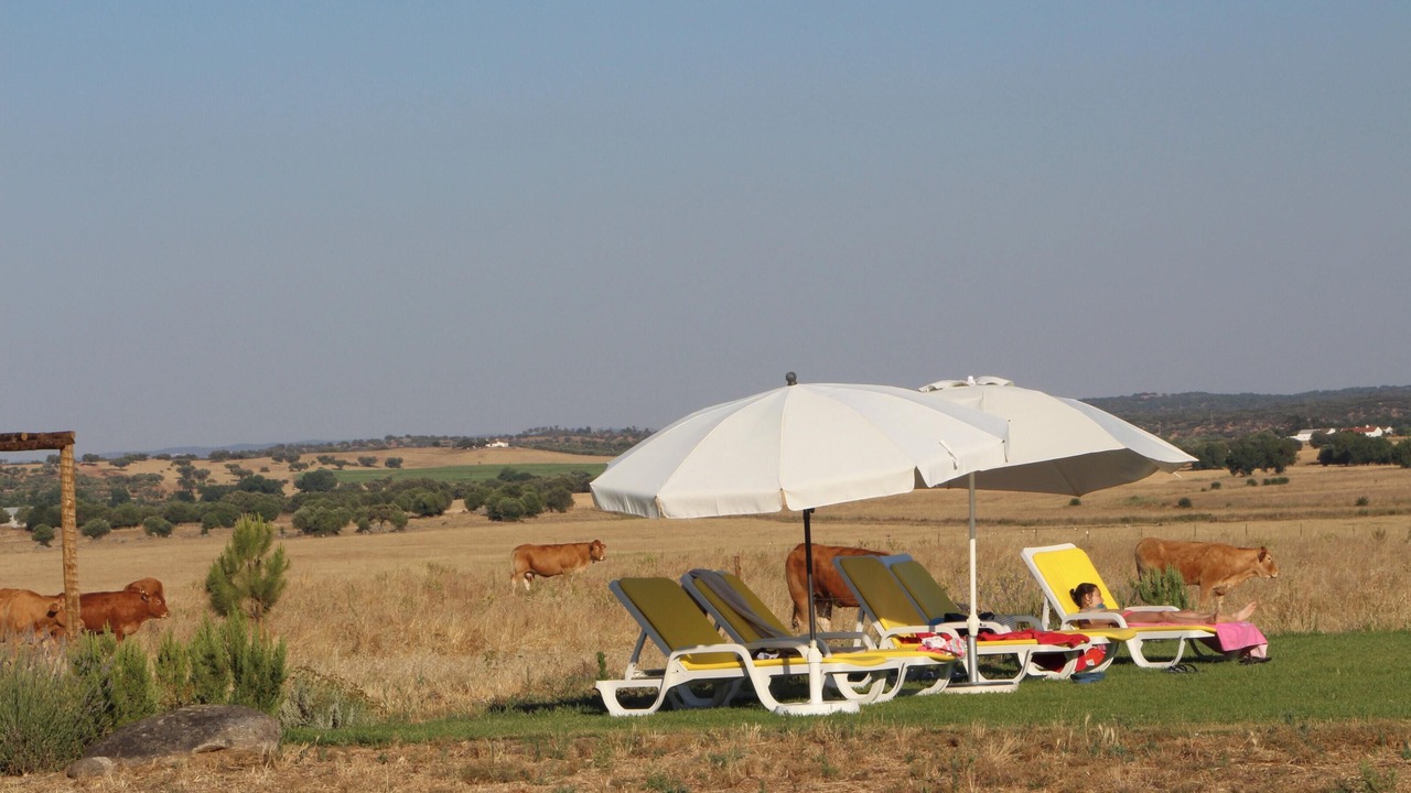 Photo of Outdoor in Evora