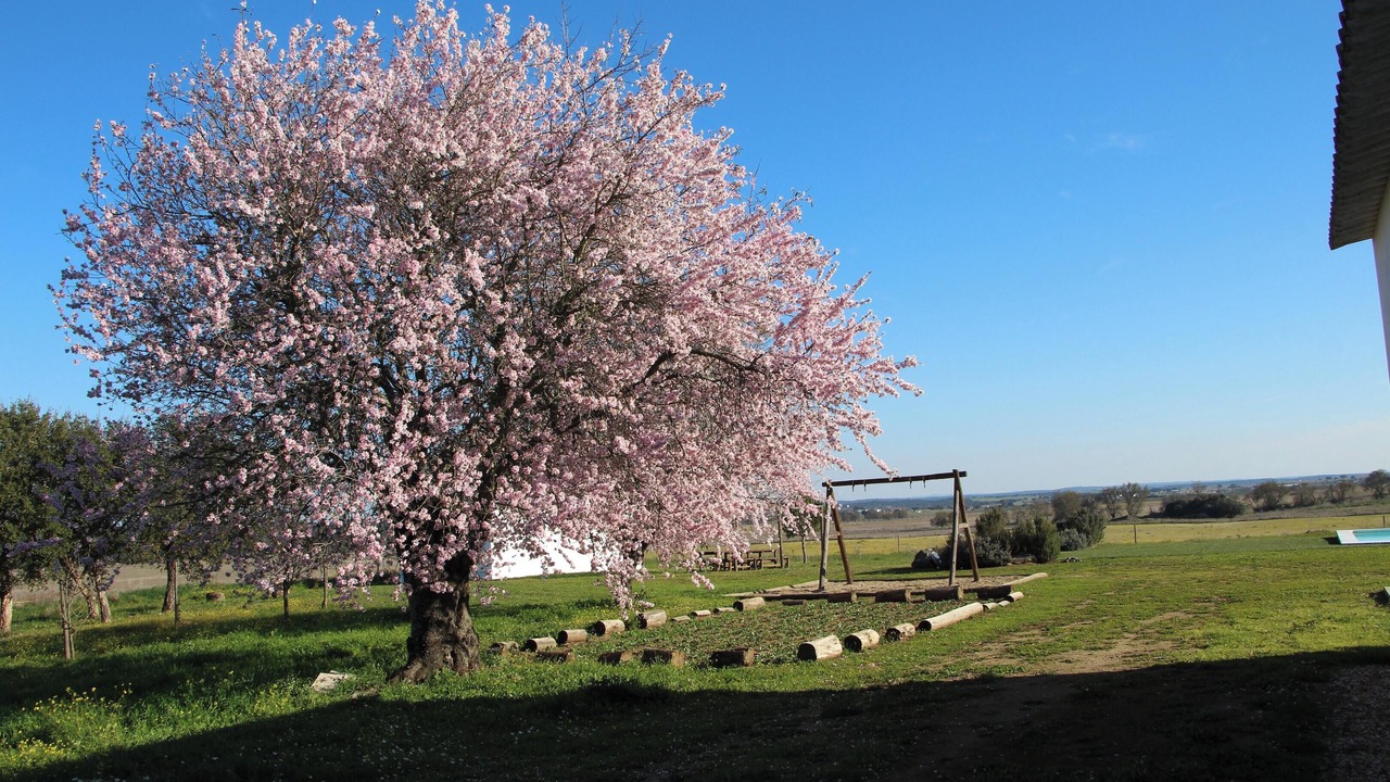 Photo of Outdoor in Evora