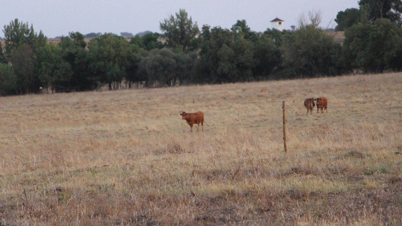 Photo of Others in Evora