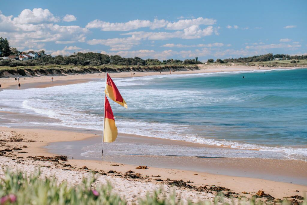 Photo of Others in Dee Why