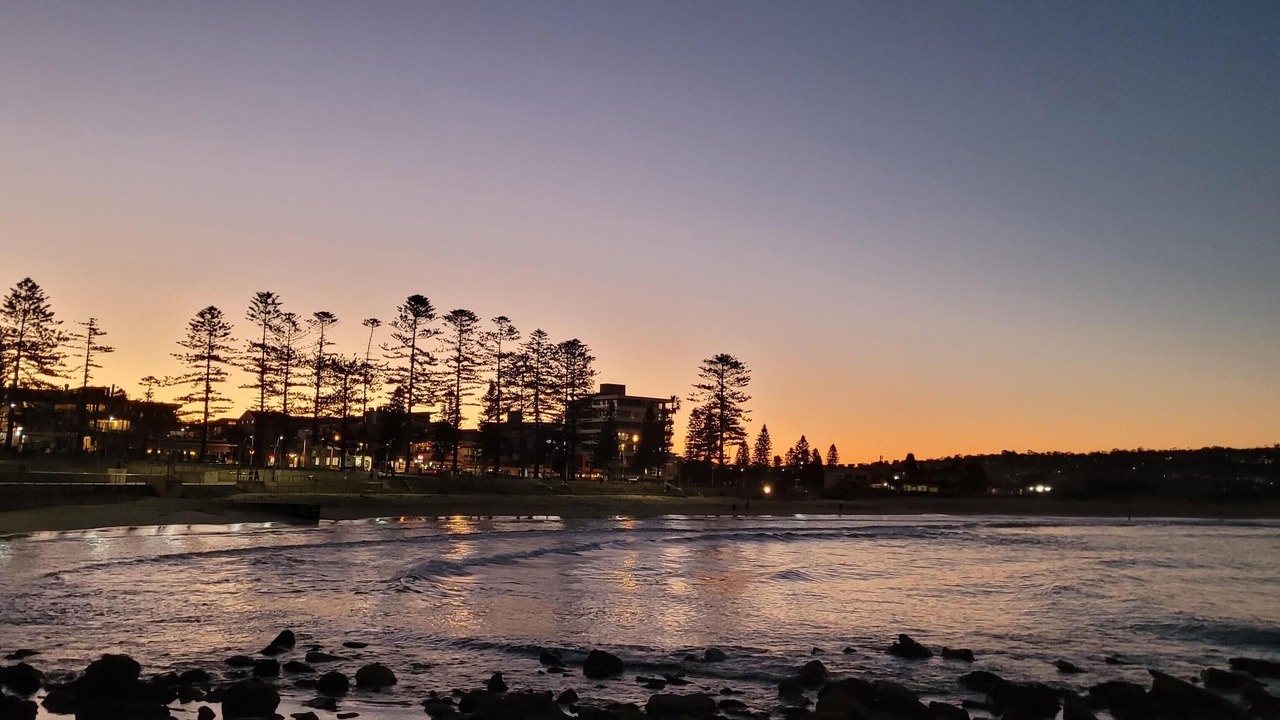 Photo of Others in Dee Why
