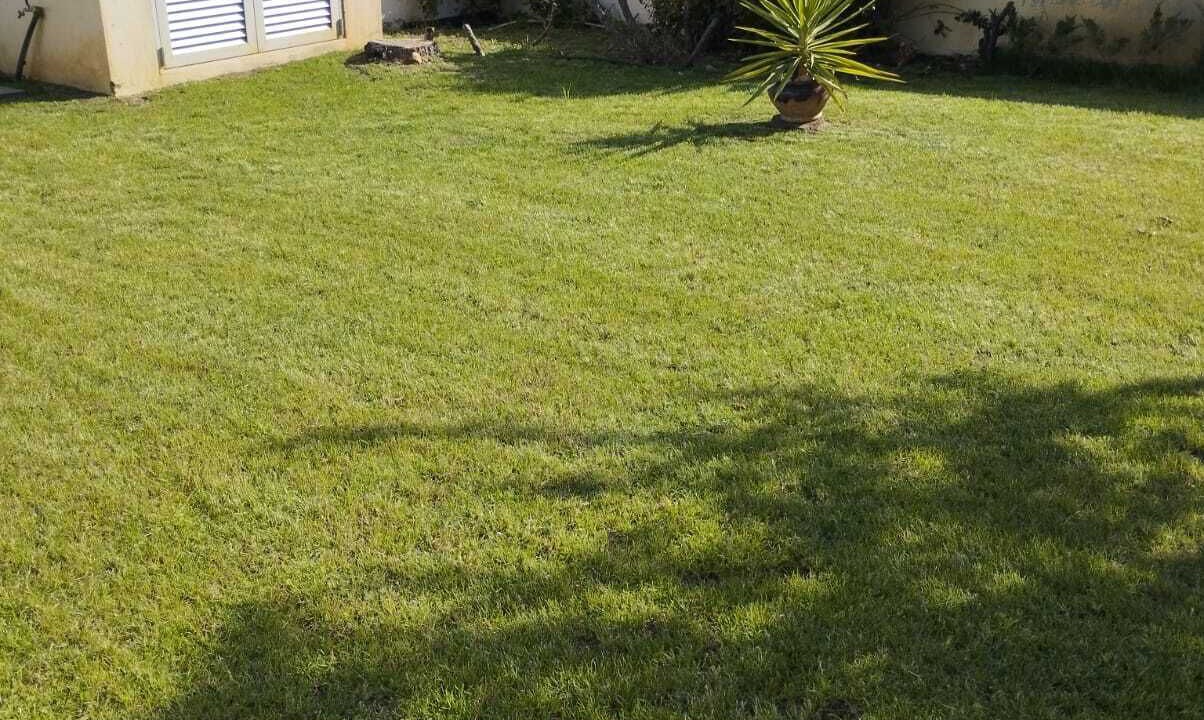 Photo of Outdoor in Castelo Branco
