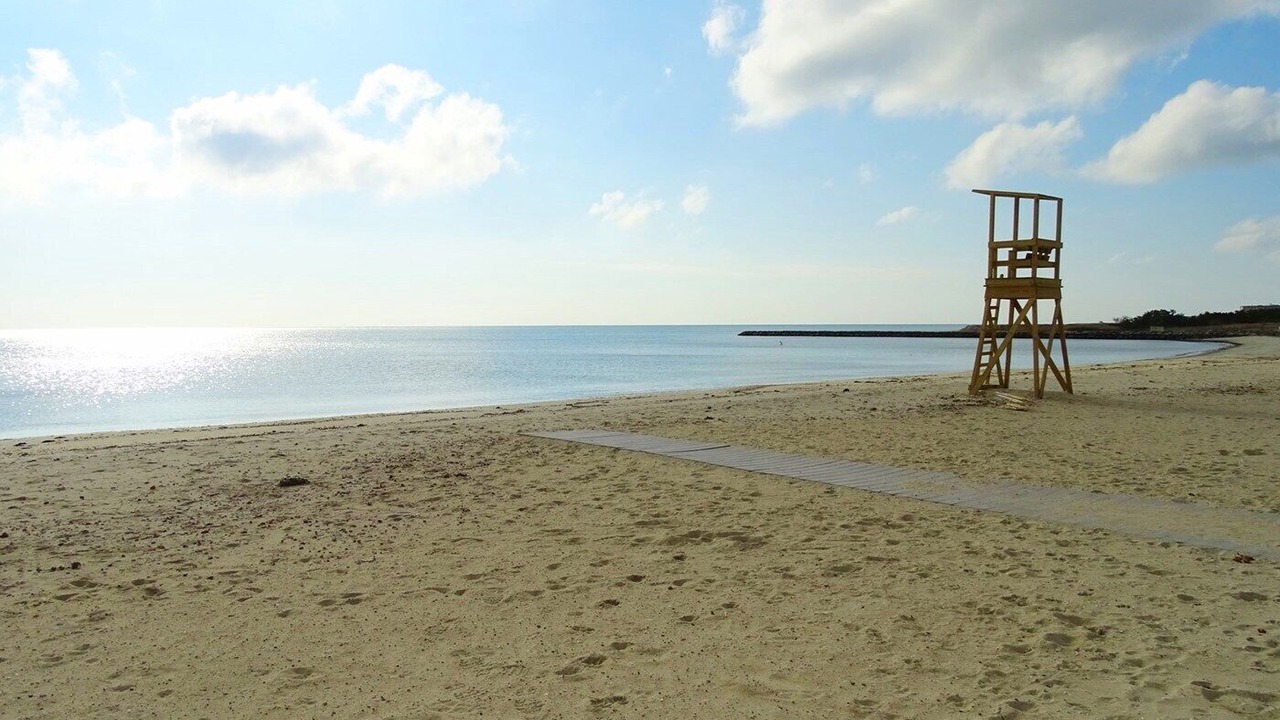 Photo of Others in West Harwich