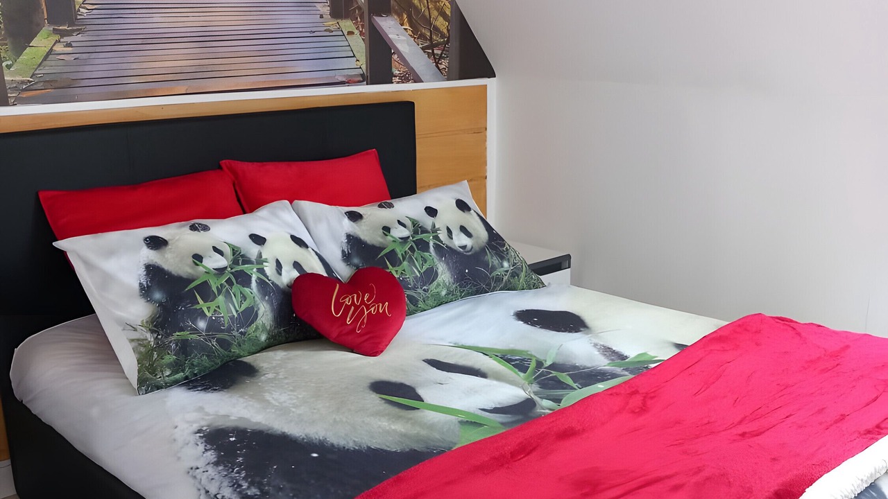 Photo of Bedroom in Lannion