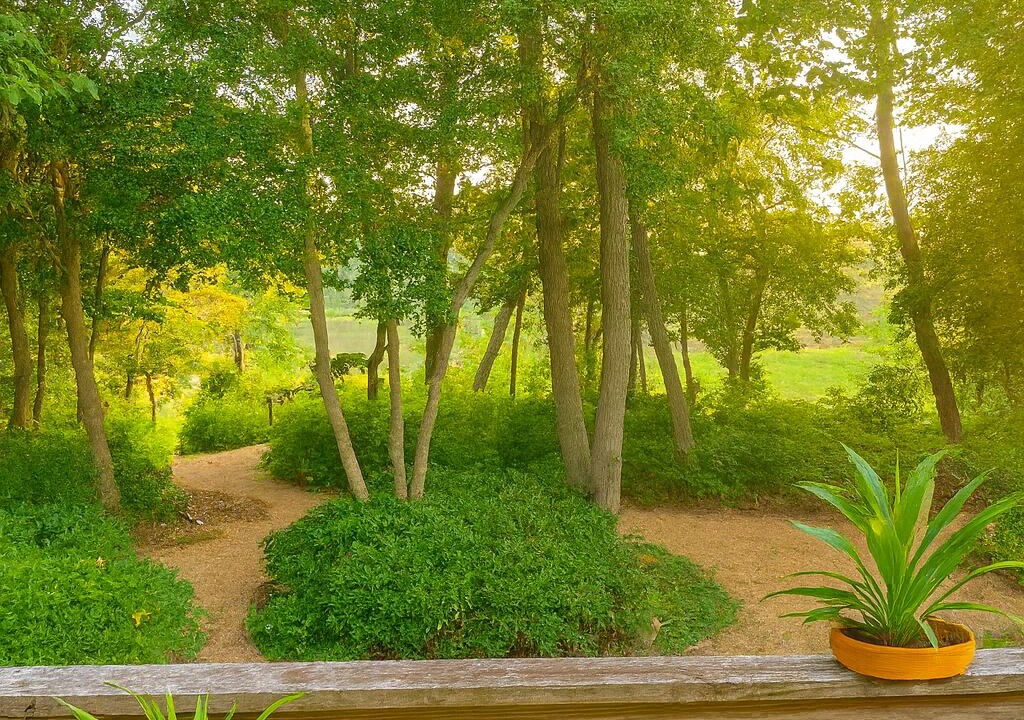 Photo of Outdoor in Colonial Beach