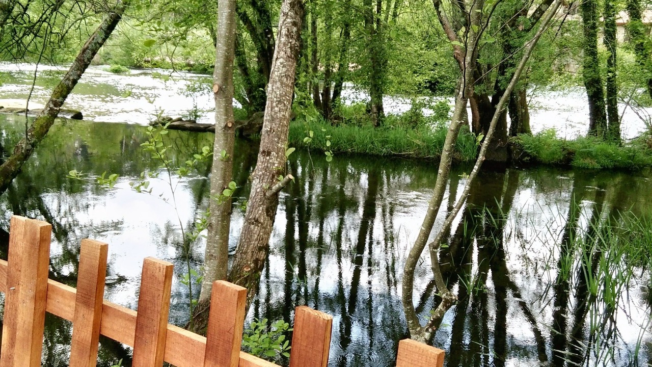 Photo of Others in Vila Verde