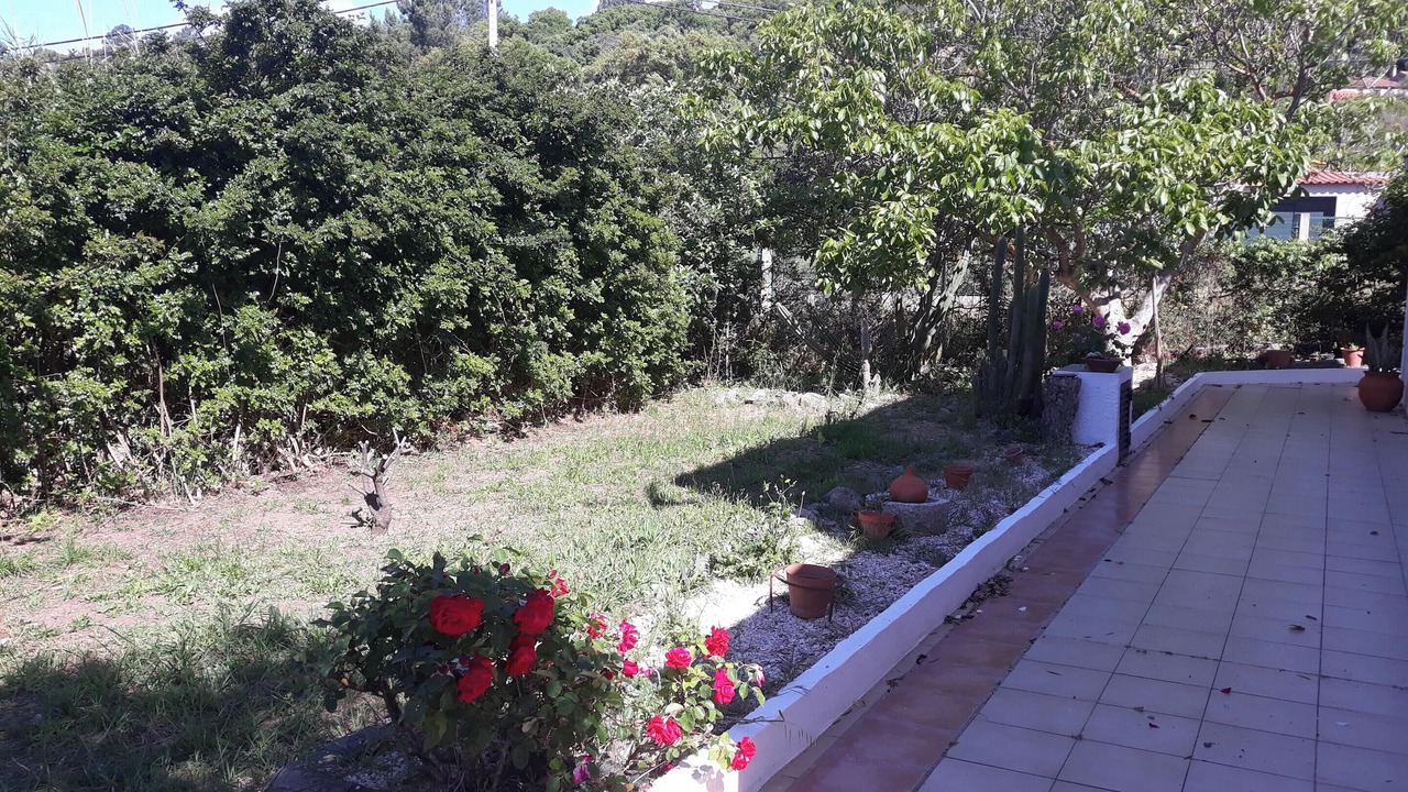 Photo of Outdoor in Monchique