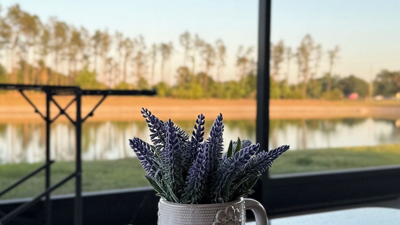 Photo of Others in Plant City