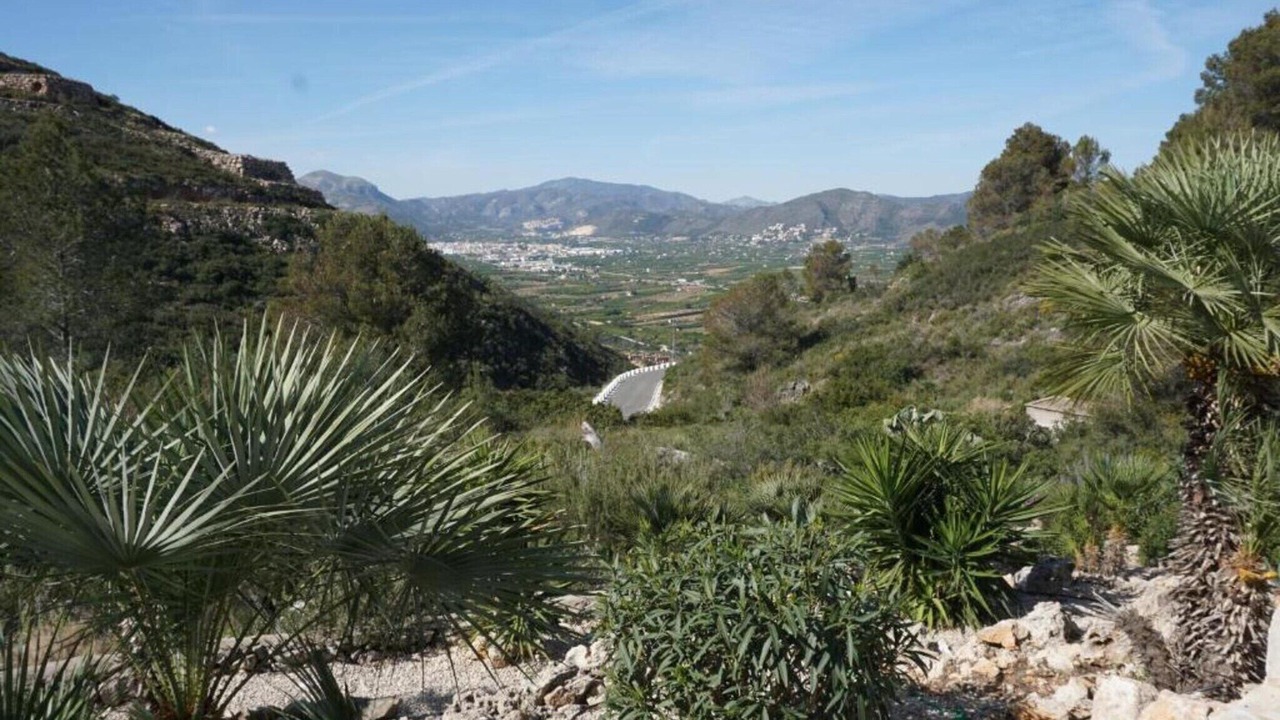 Photo of Others in Rafol de Almunia