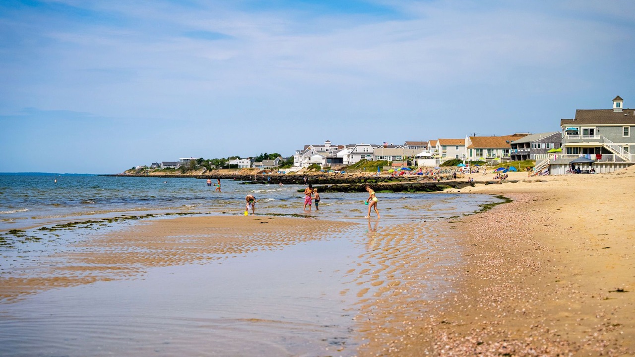Photo of Others in West Harwich