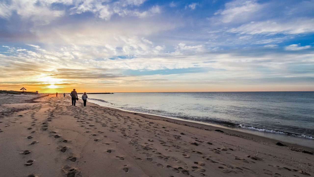 Photo of Others in West Harwich