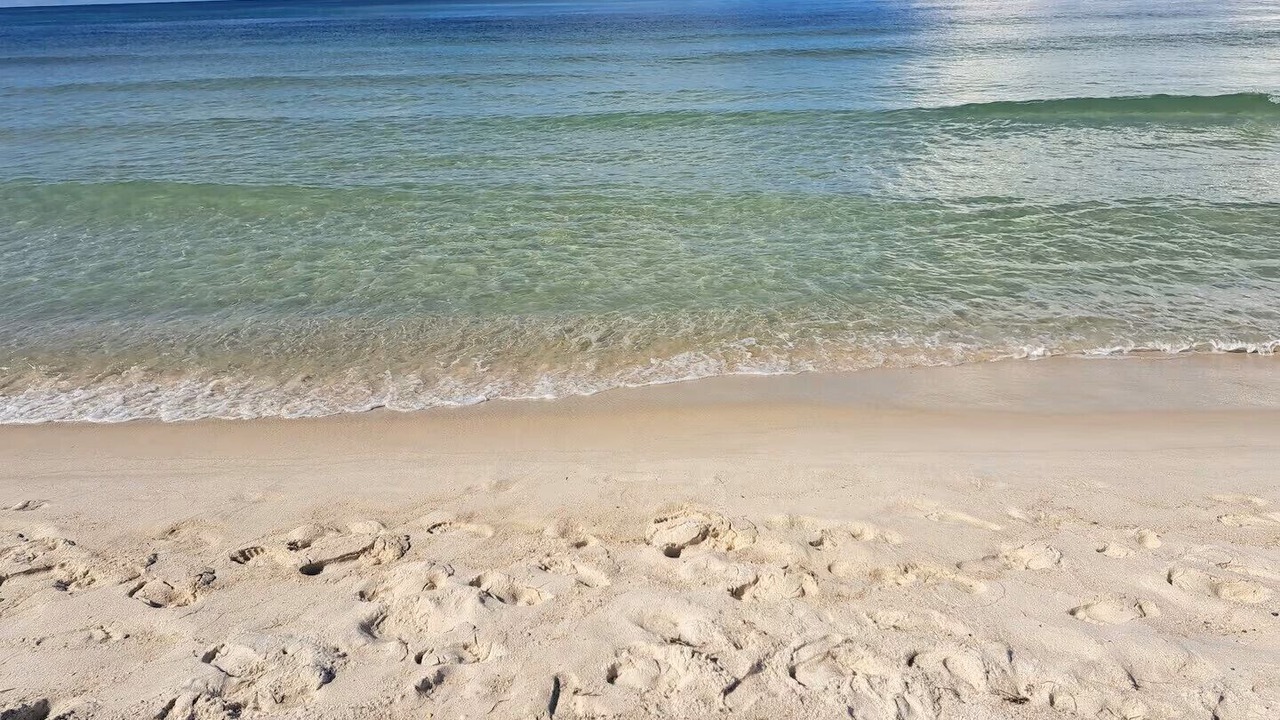 Photo of Others in El Centro Beach