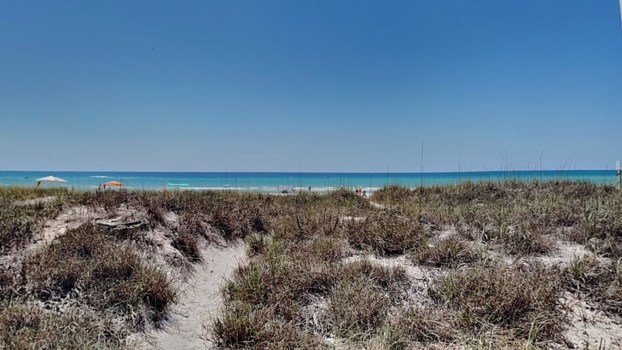 Photo of Others in Miramar Beach