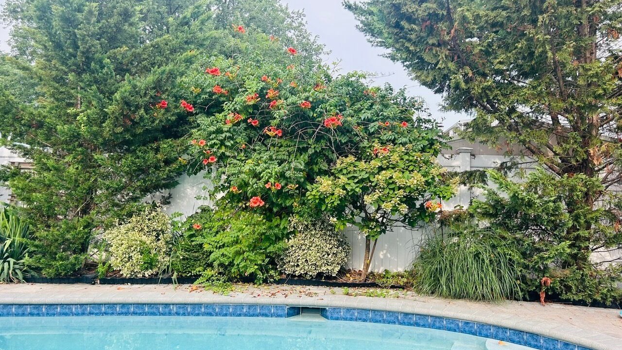 Photo of Outdoor in Oceanside