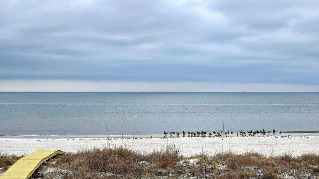Photo of Others in Mexico Beach