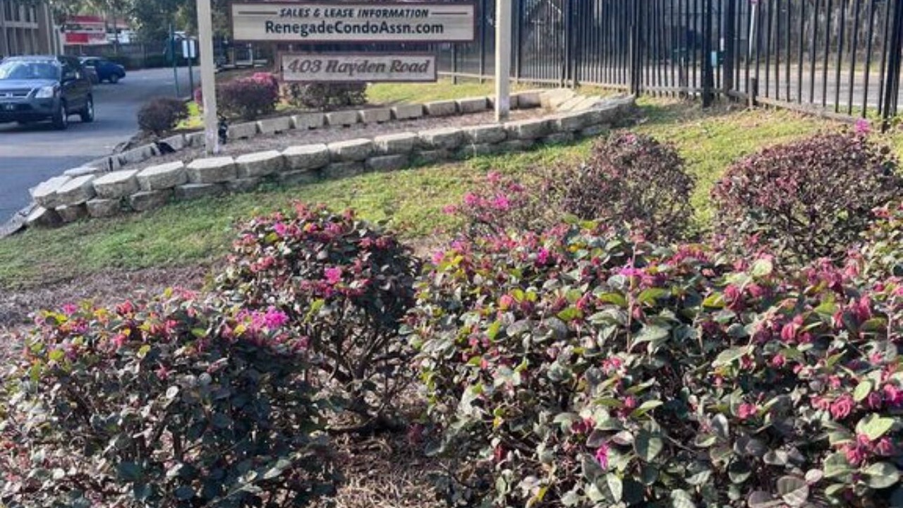 Photo of Others in Tallahassee