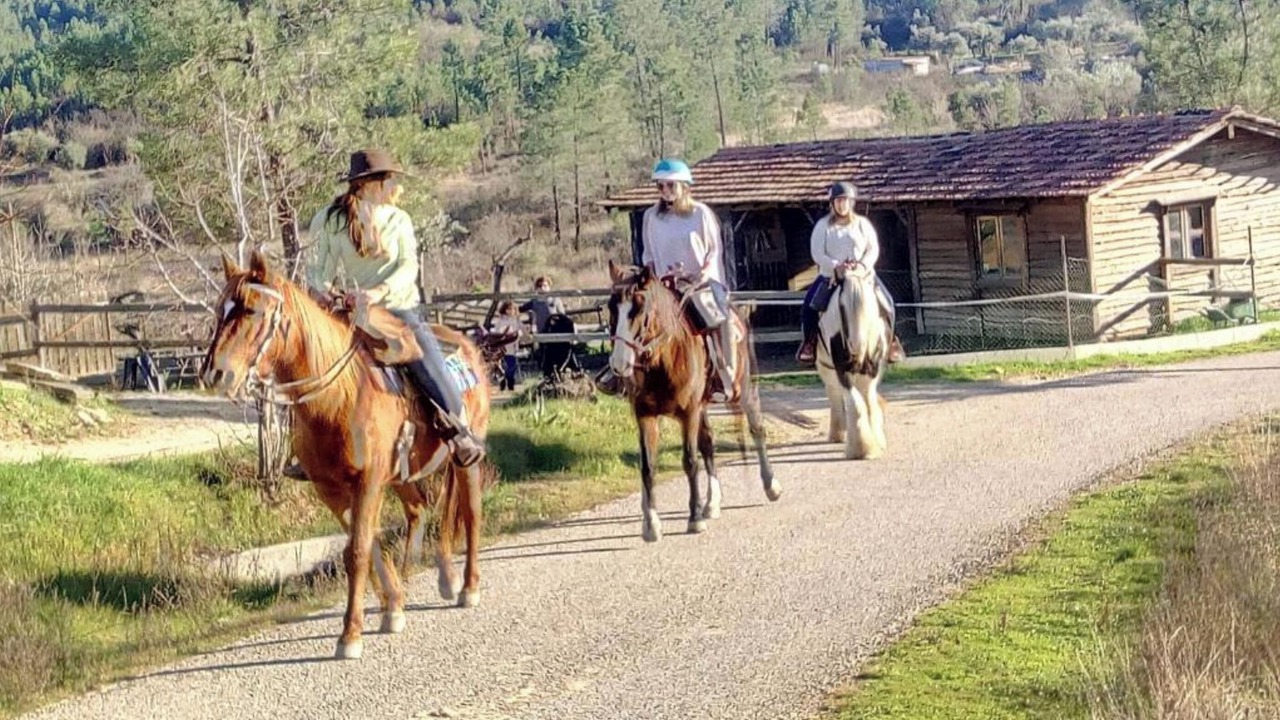 Photo of Others in Montes da Senhora