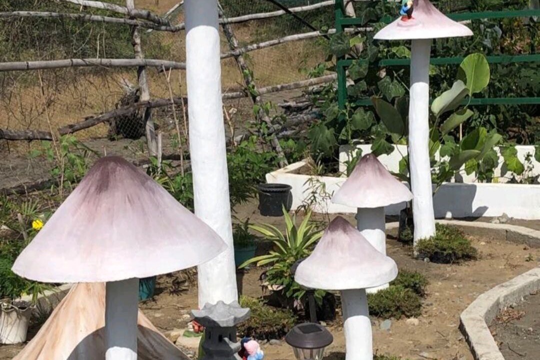 Photo of Others in Ilocos Region