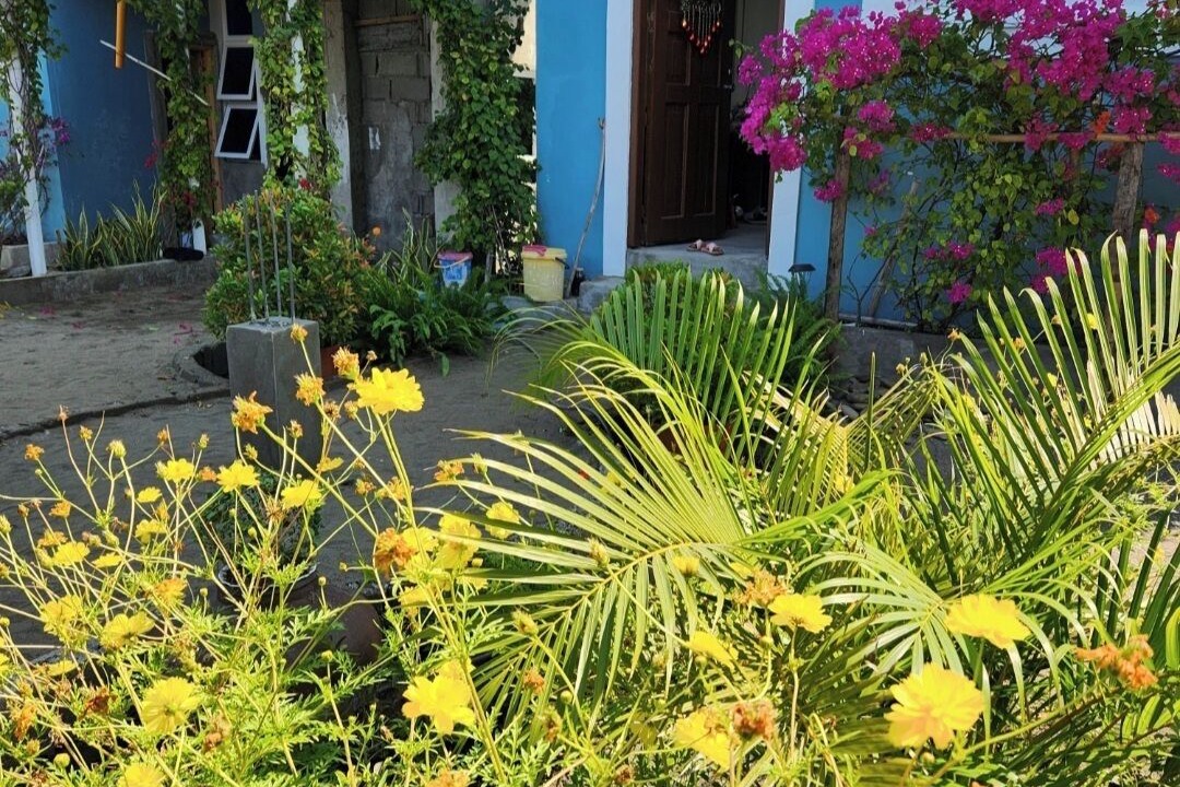 Photo of Outdoor in Ilocos Region