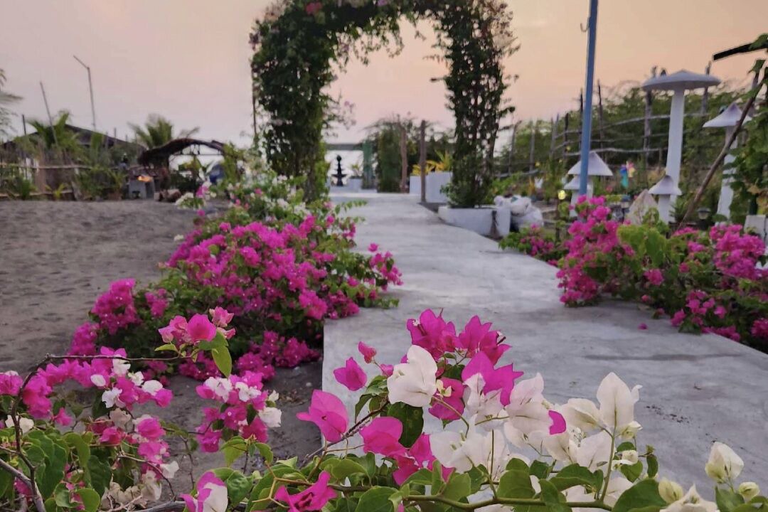 Photo of Outdoor in Ilocos Region