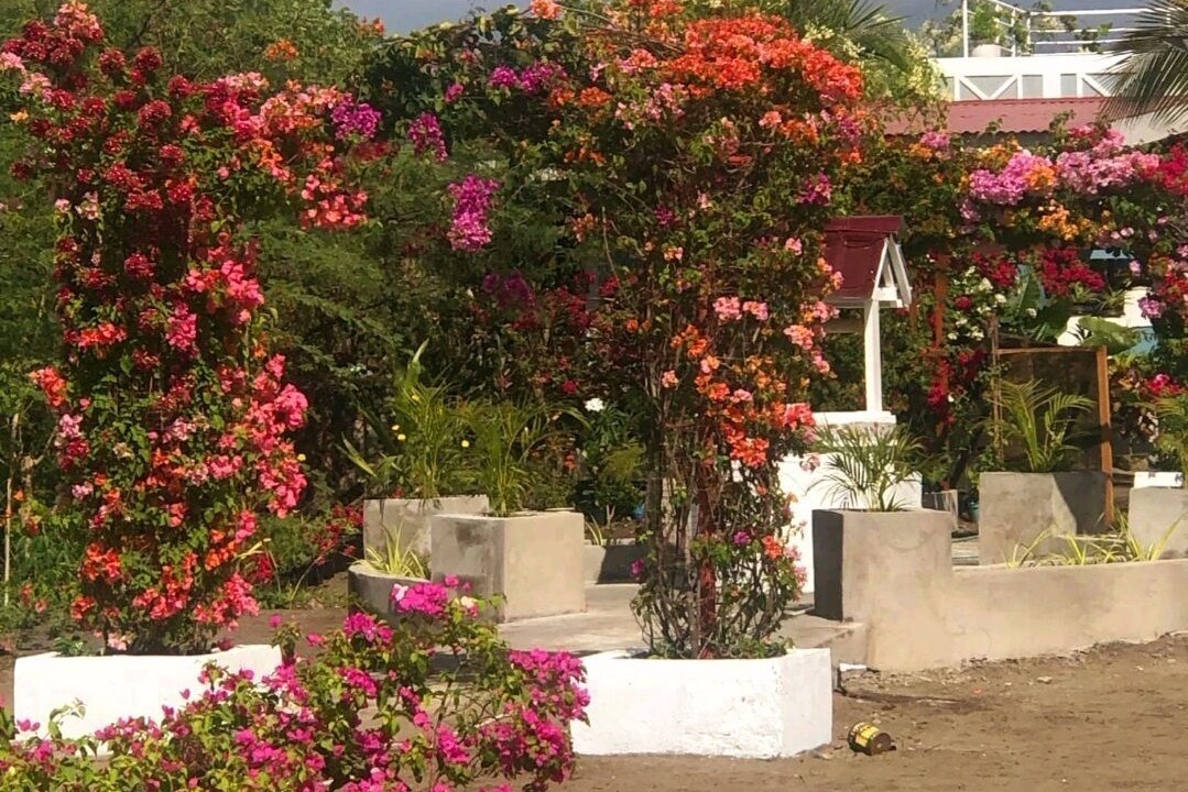 Photo of Outdoor in Ilocos Region