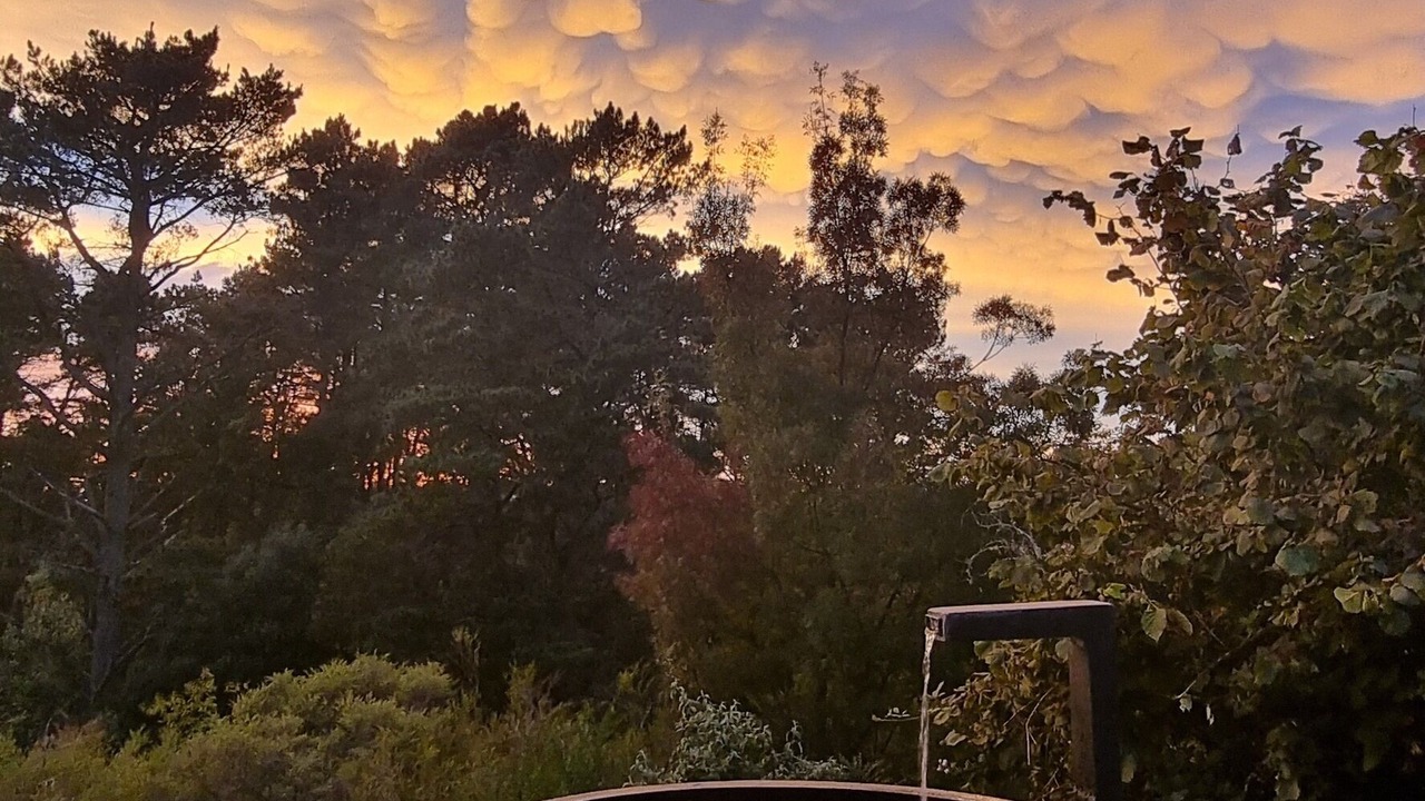 Photo of Outdoor in Leura