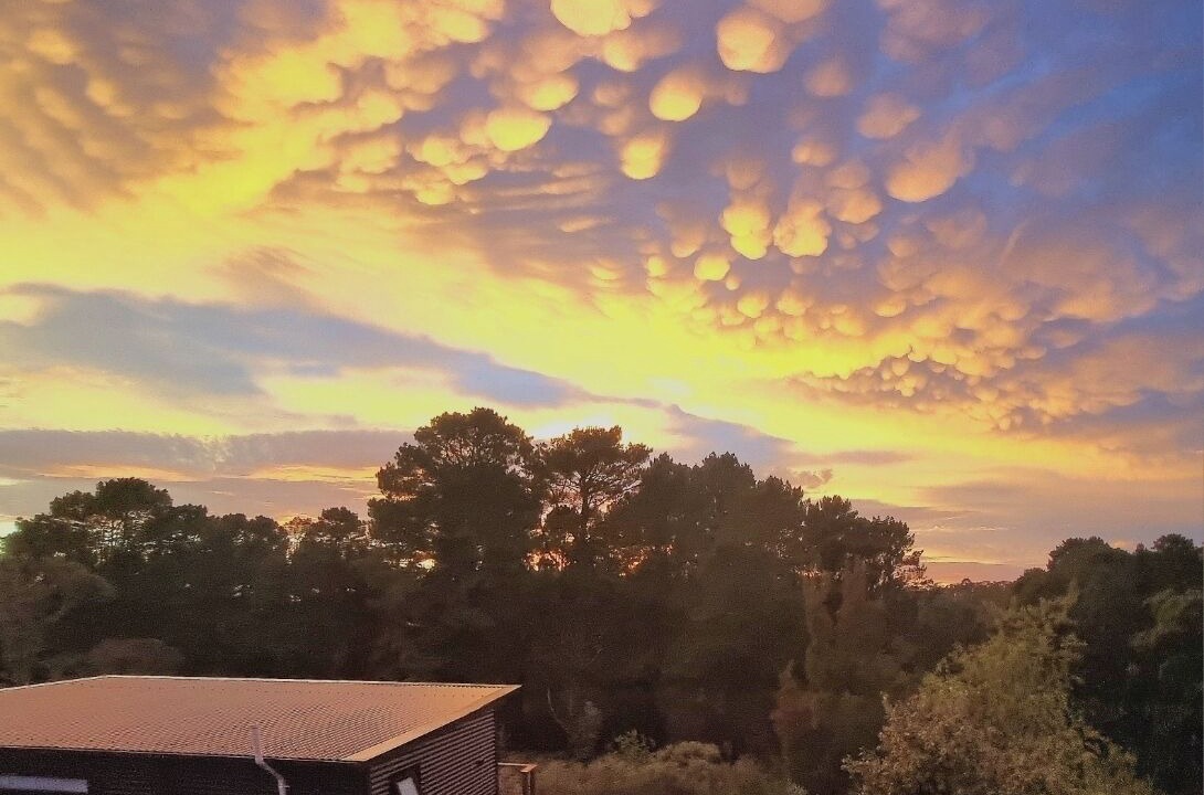 Photo of Outdoor in Leura