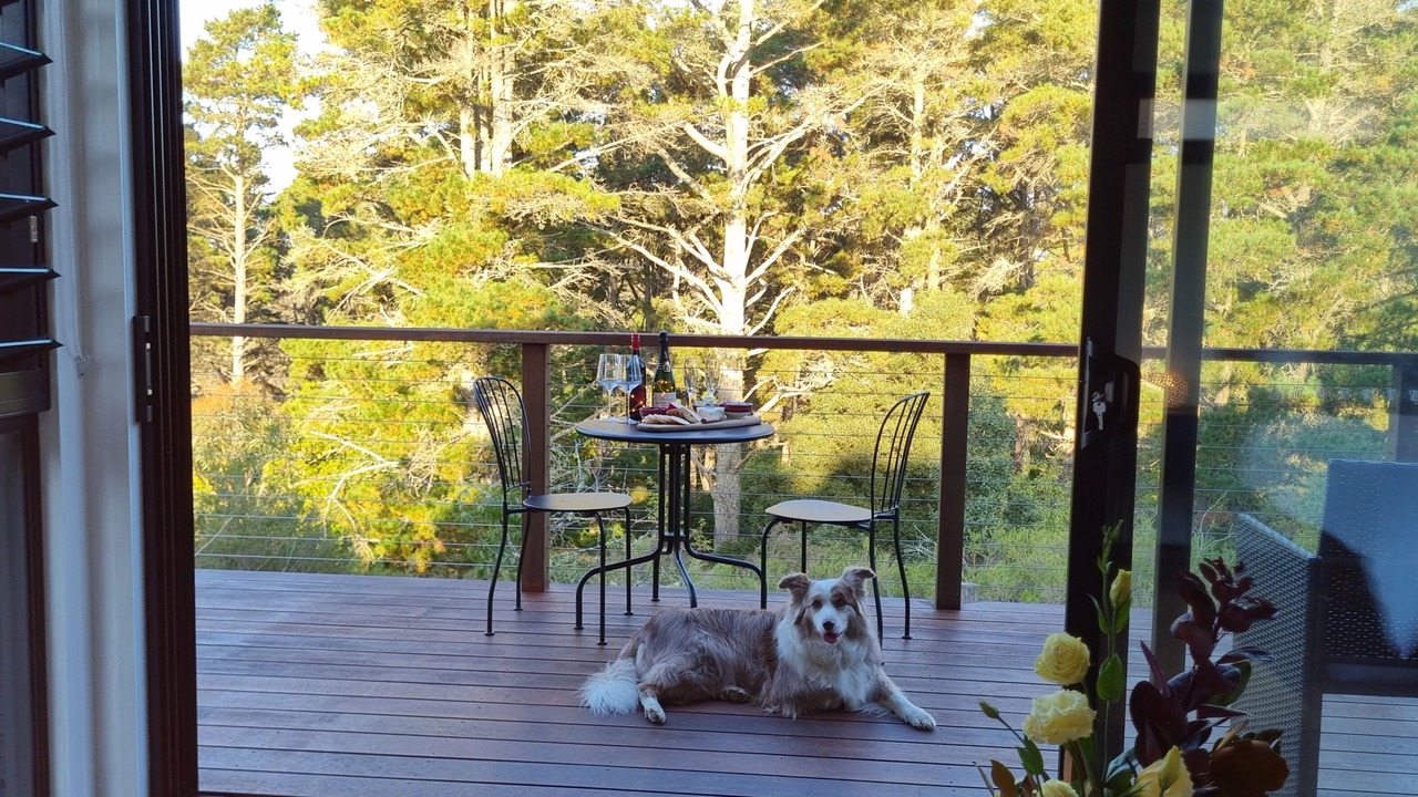 Photo of Others in Leura