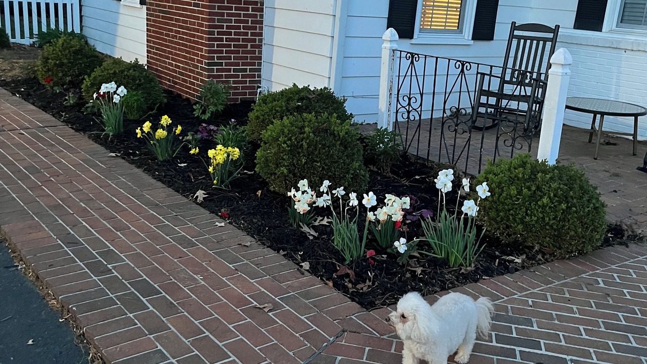 Photo of Outdoor in Ware