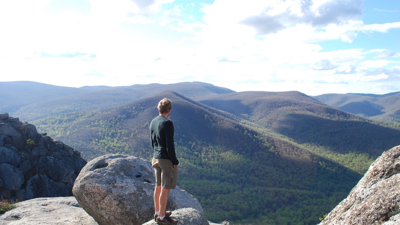 Photo of Others in Haywood
