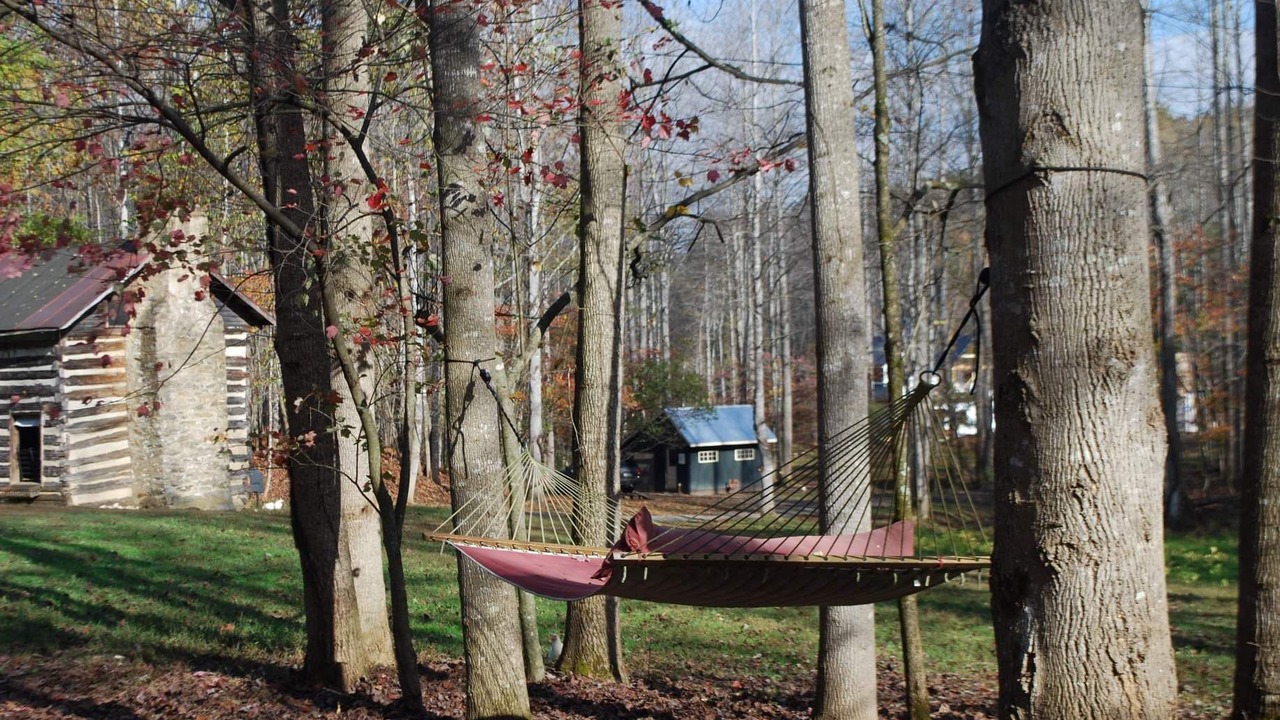 Photo of Outdoor in Haywood