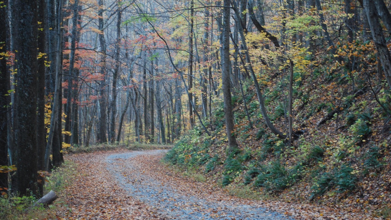 Photo of Others in Haywood