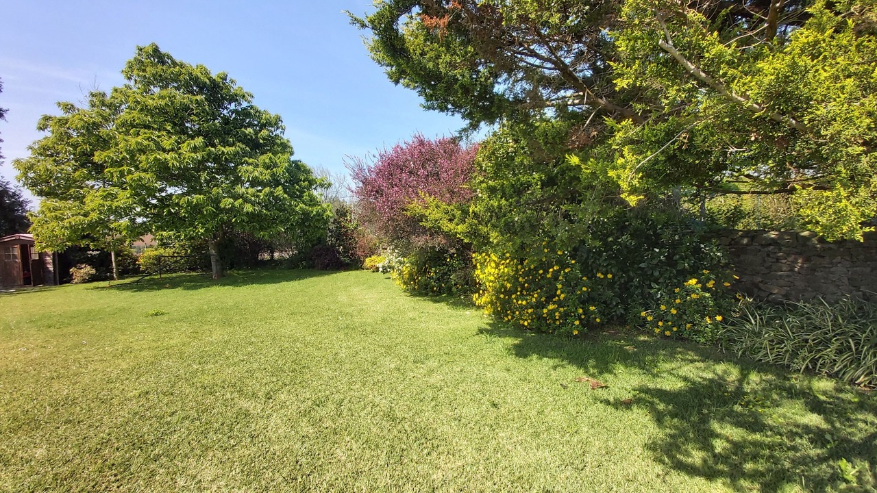 Photo of Outdoor in Vila do Conde
