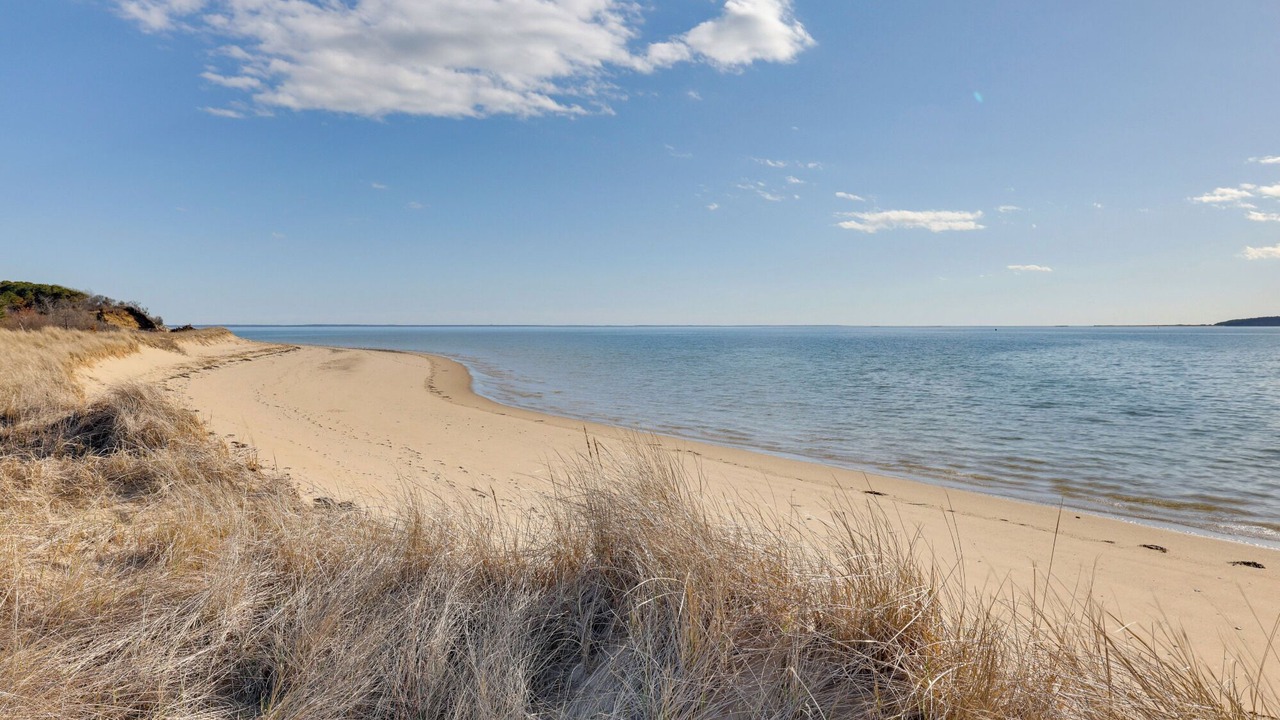 Photo of Others in Wellfleet