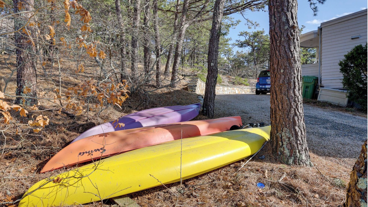 Photo of Others in Wellfleet