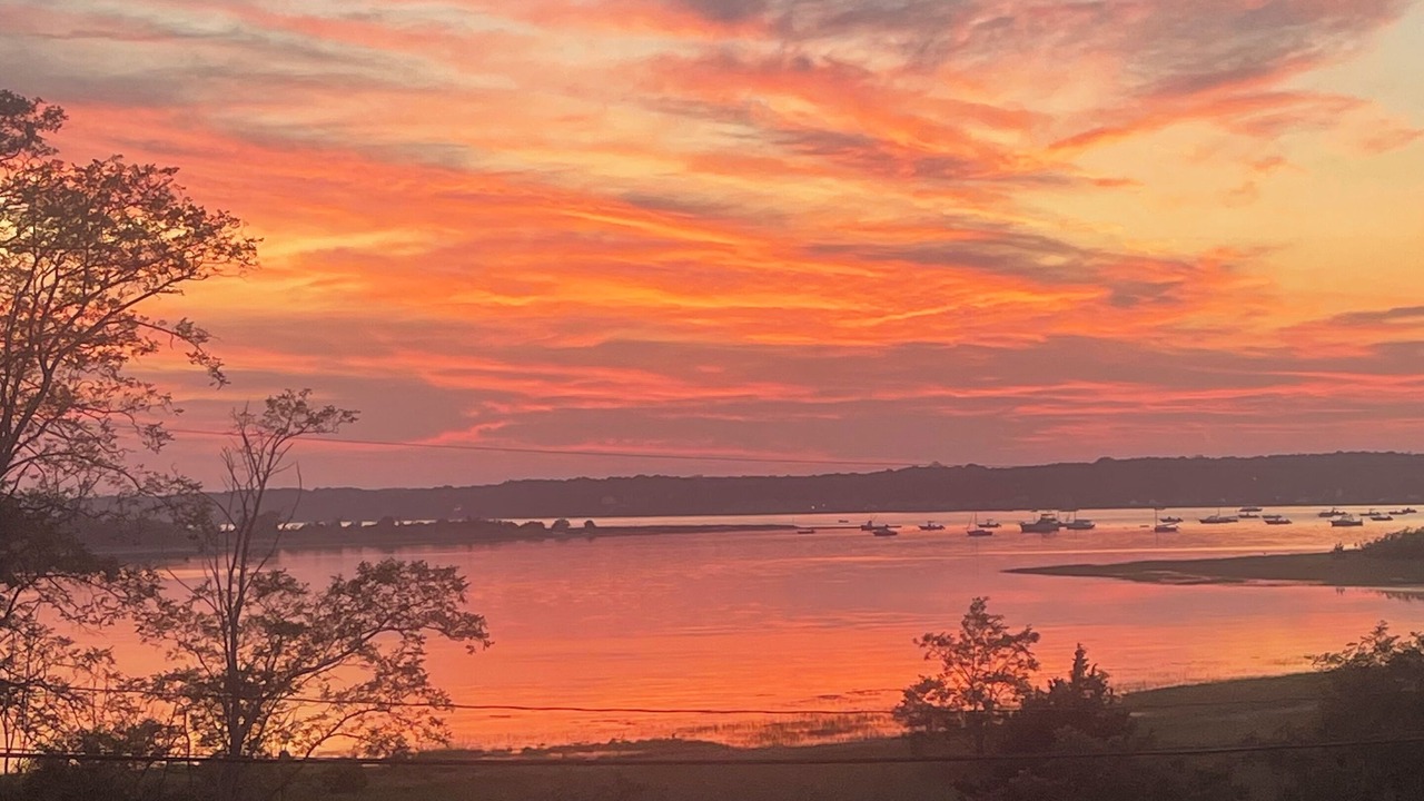 Photo of Others in Wellfleet