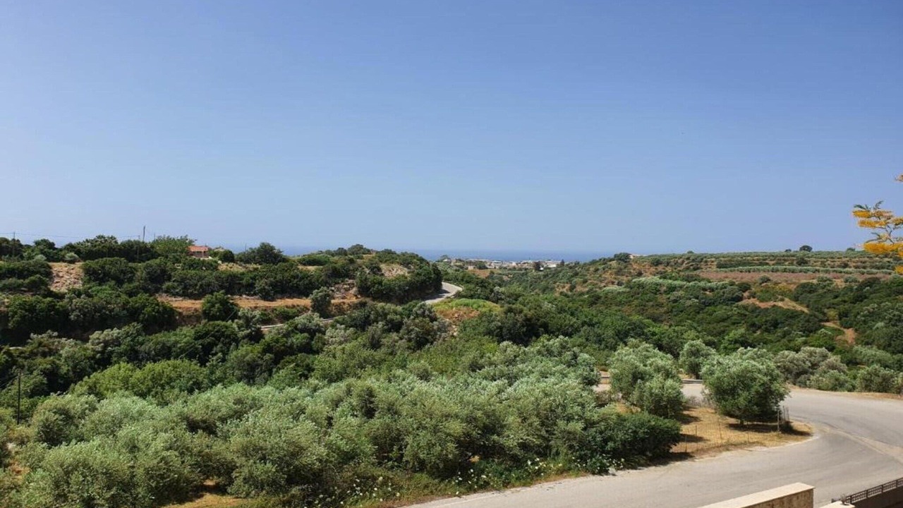 Photo of Others in Monopari