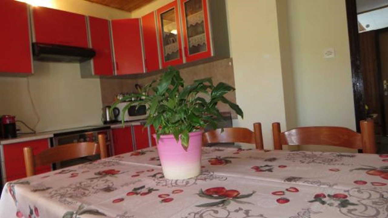 Photo of Kitchen in Rab