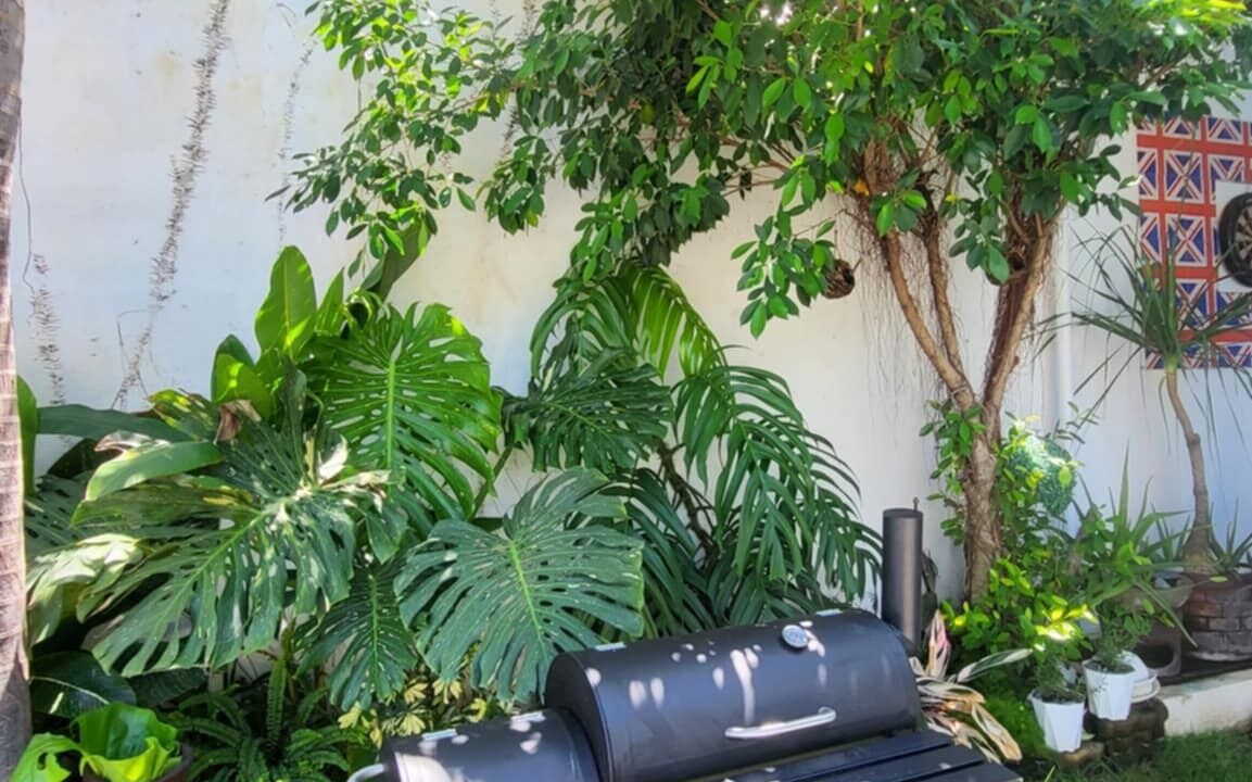 Photo of Outdoor in Bacnotan